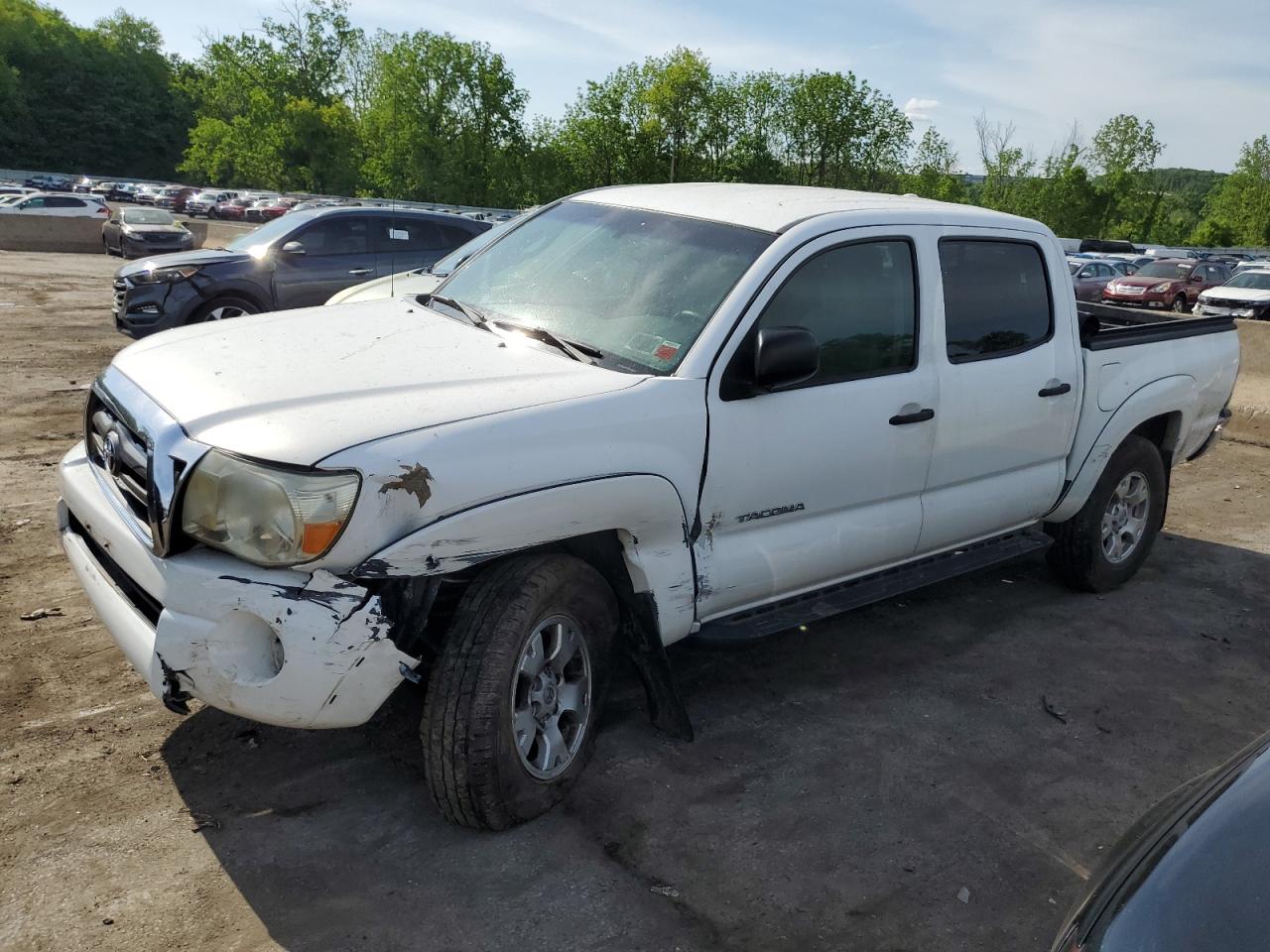 TOYOTA TACOMA 2009 3tmlu42n59m023074