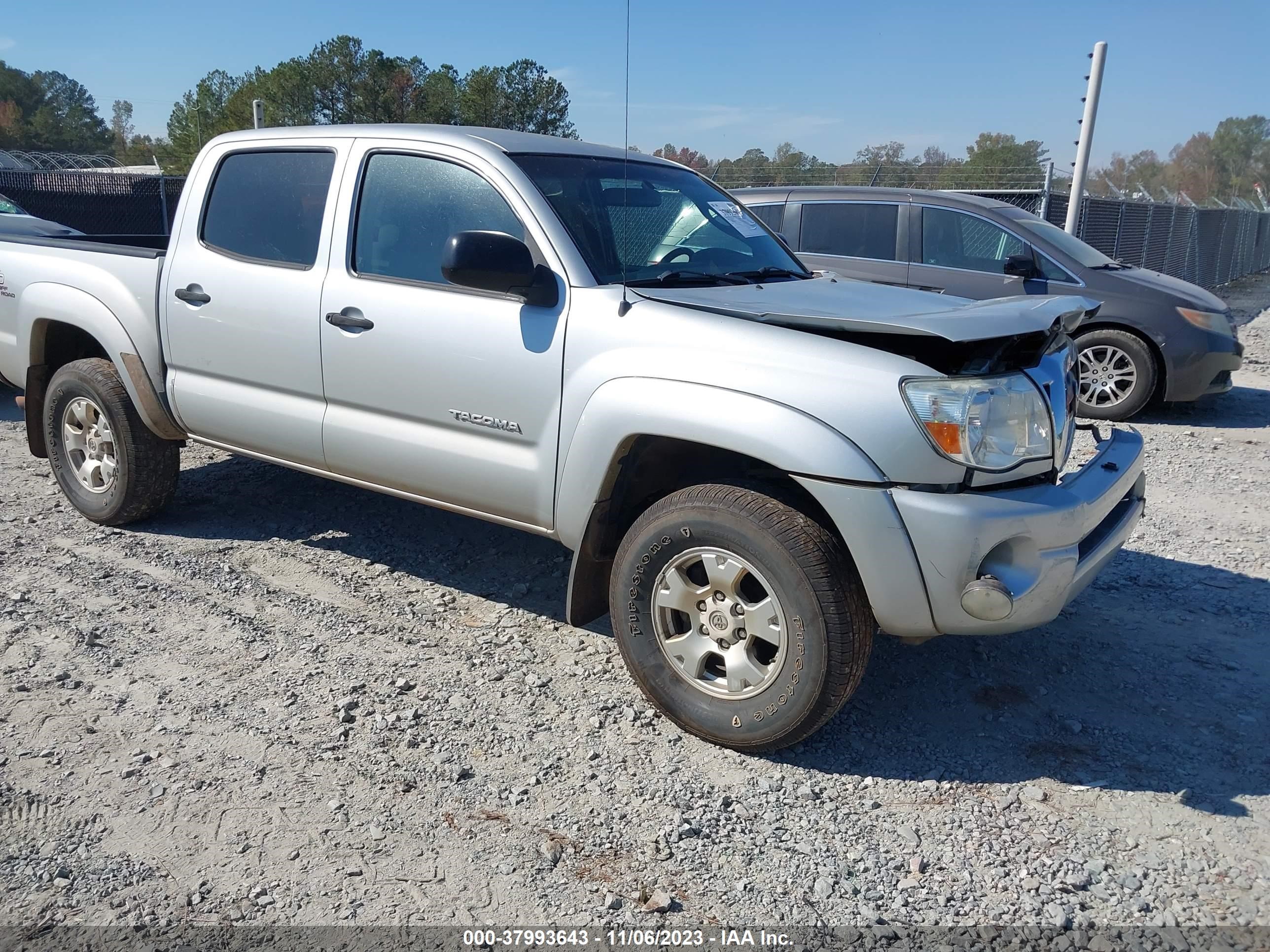 TOYOTA TACOMA 2006 3tmlu42n66m005601