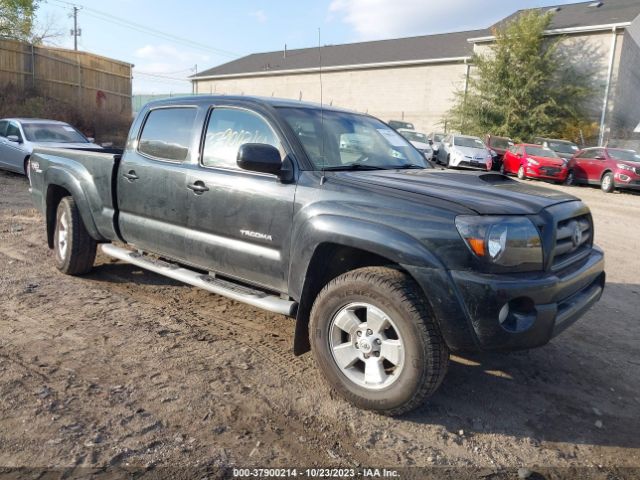 TOYOTA TACOMA 2010 3tmmu4fn4am021271