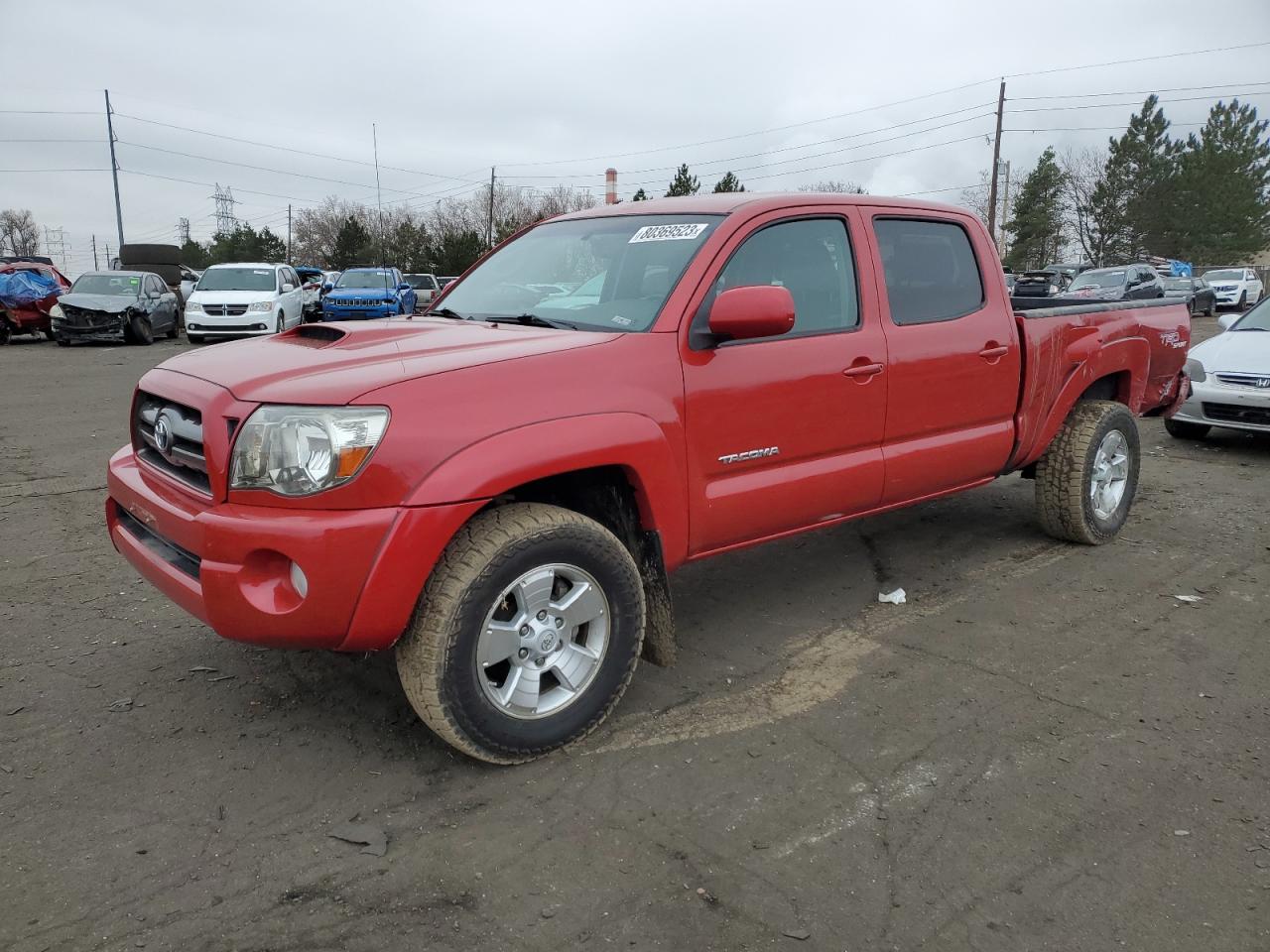 TOYOTA TACOMA 2009 3tmmu52n19m011448