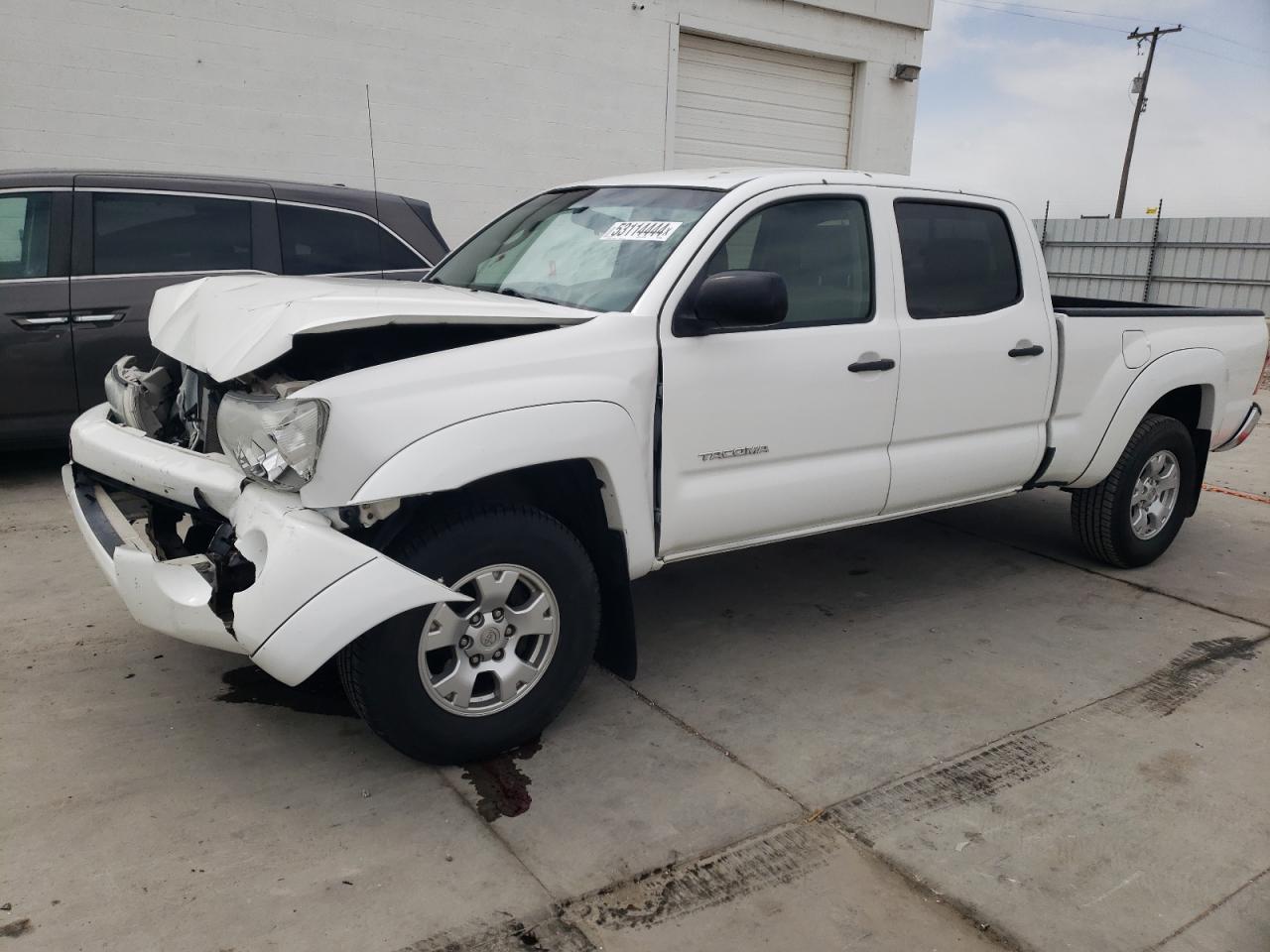 TOYOTA TACOMA 2006 3tmmu52n26m003368