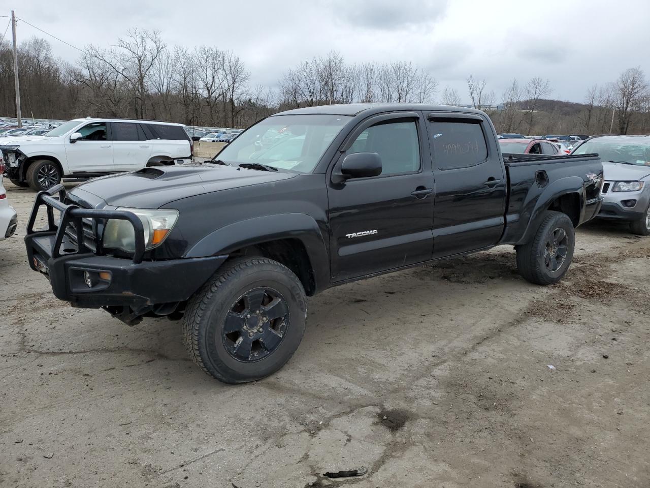 TOYOTA TACOMA 2009 3tmmu52n59m008195