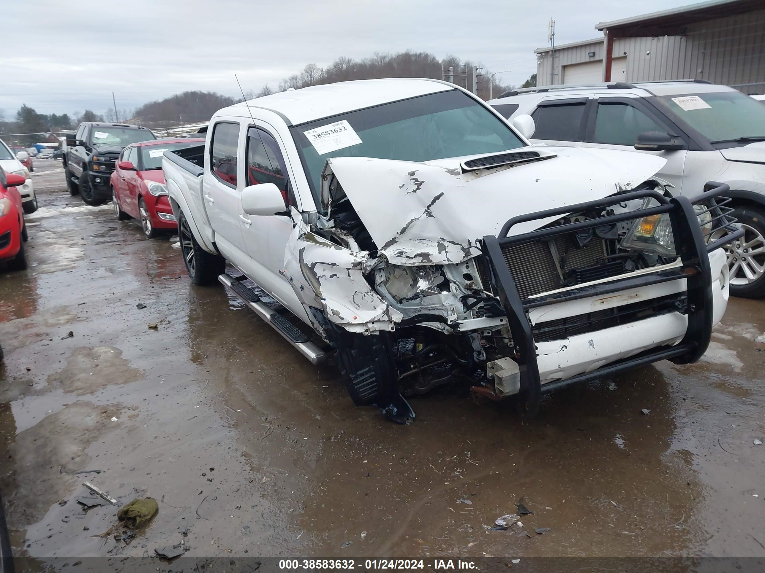 TOYOTA TACOMA 2009 3tmmu52n89m012483