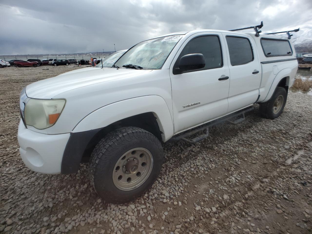 TOYOTA TACOMA 2008 3tmmu52nx8m007297