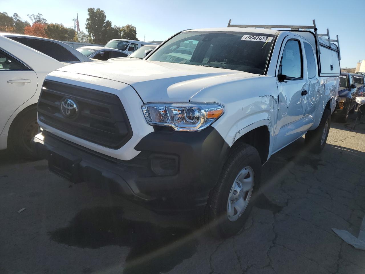 TOYOTA TACOMA 2023 3tyrx5gn3pt073151