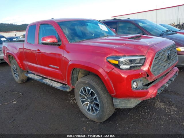 TOYOTA TACOMA 2023 3tysz5an3pt128931