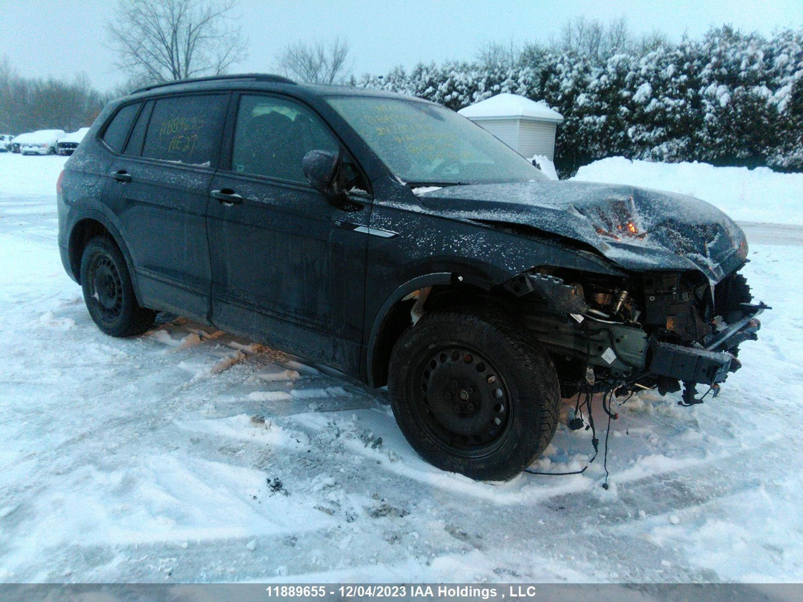 VOLKSWAGEN TIGUAN 2024 3vv8b7ax1rm018228