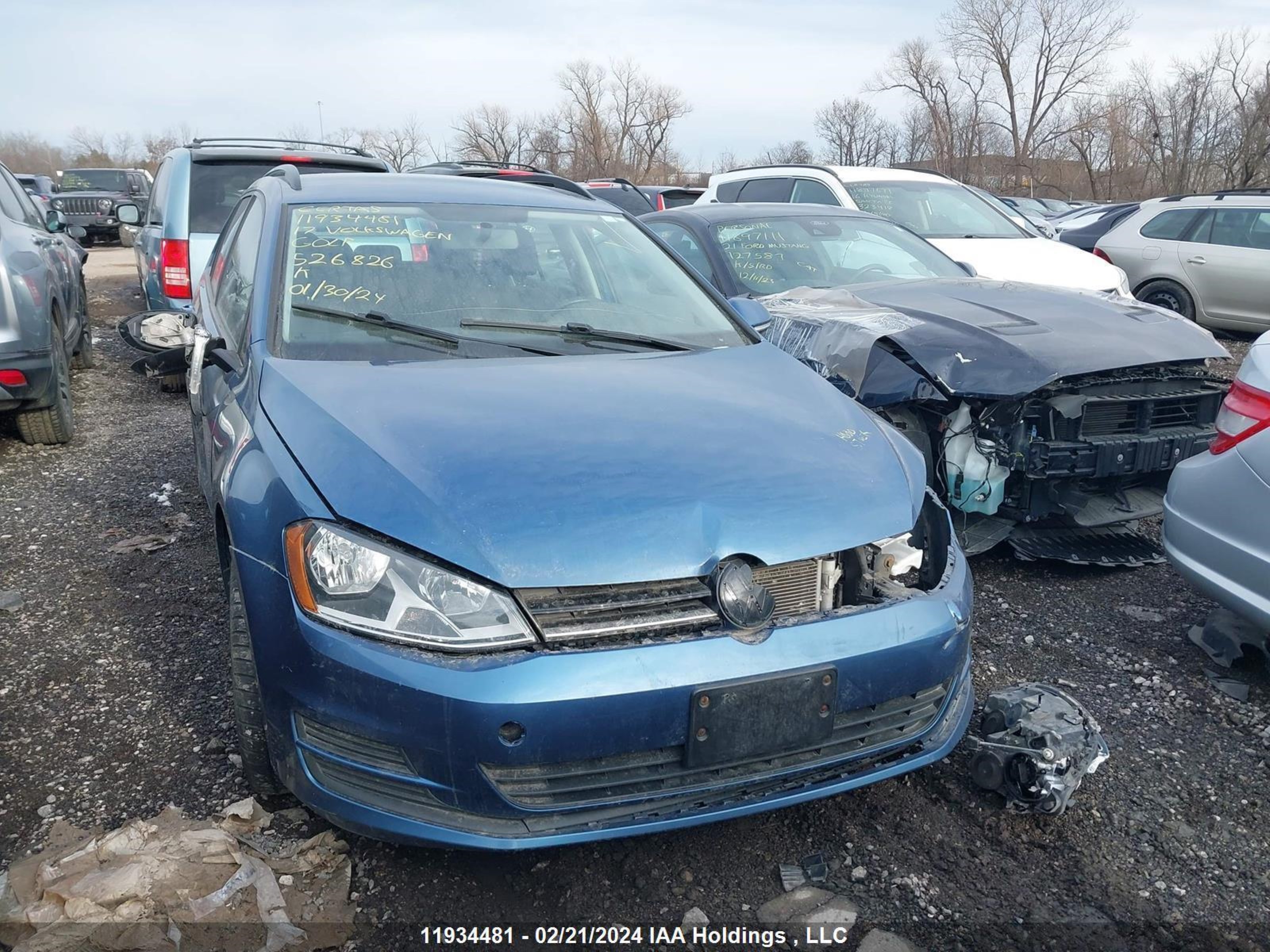 VOLKSWAGEN GOLF 2017 3vw017au8hm526826