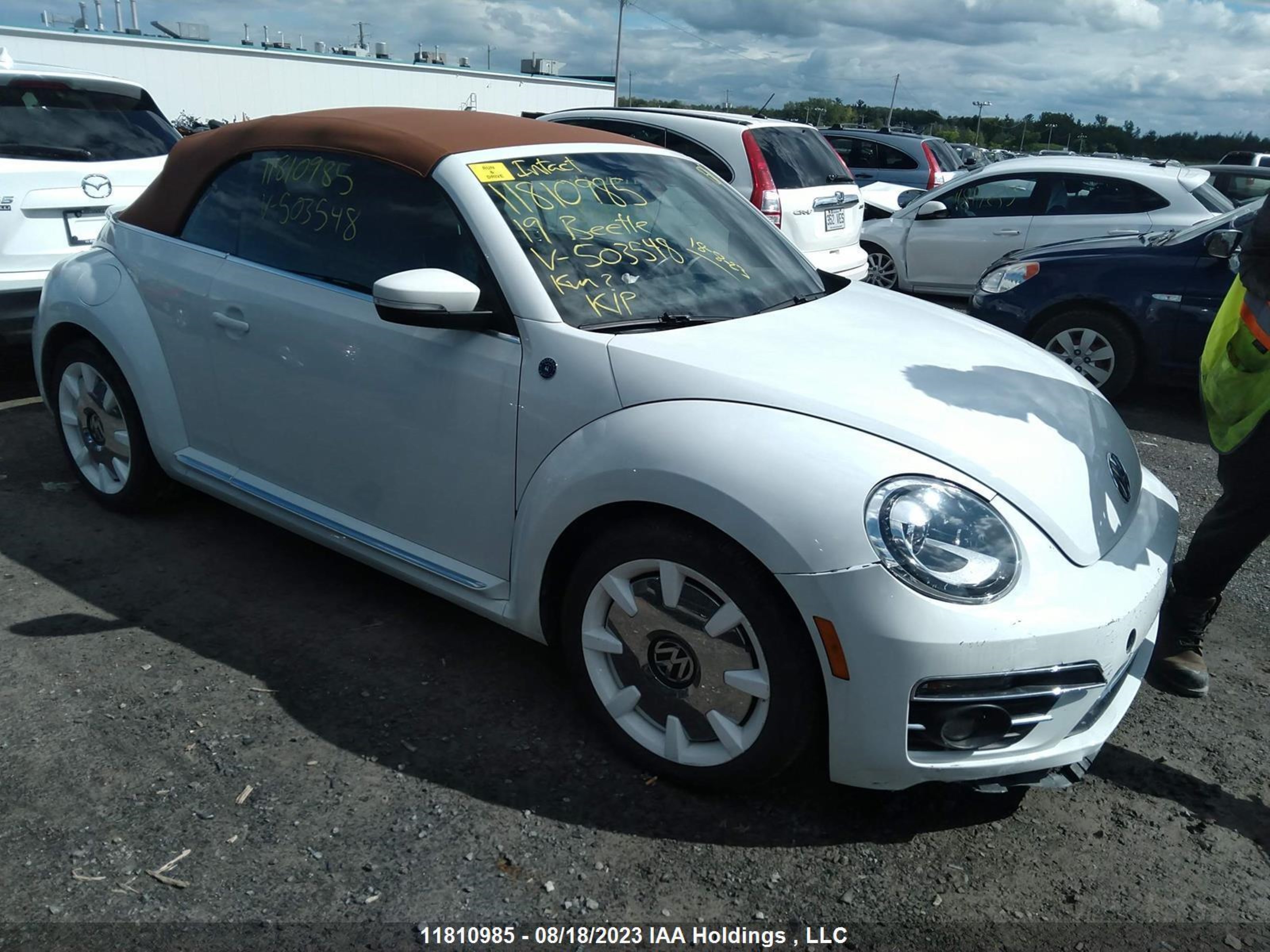 VOLKSWAGEN BEETLE 2019 3vw5daat0km503548