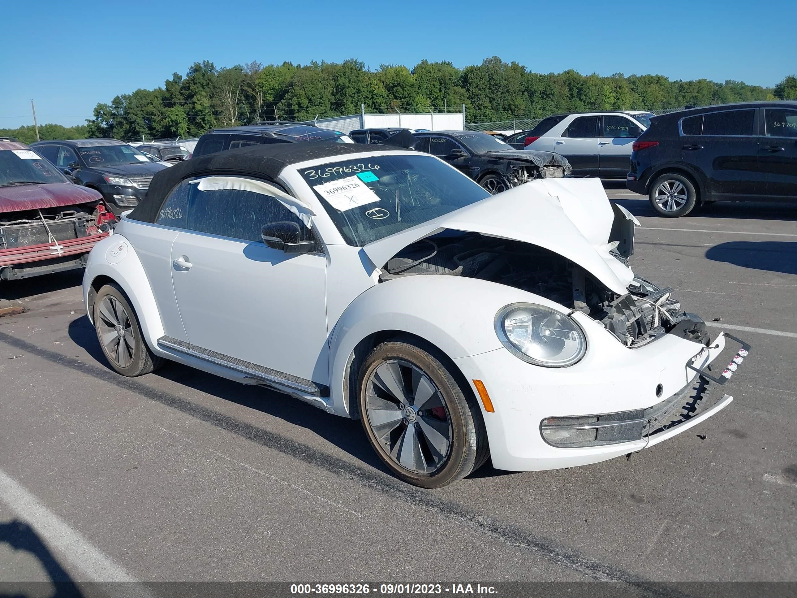 VOLKSWAGEN BEETLE 2013 3vw767at9dm804053