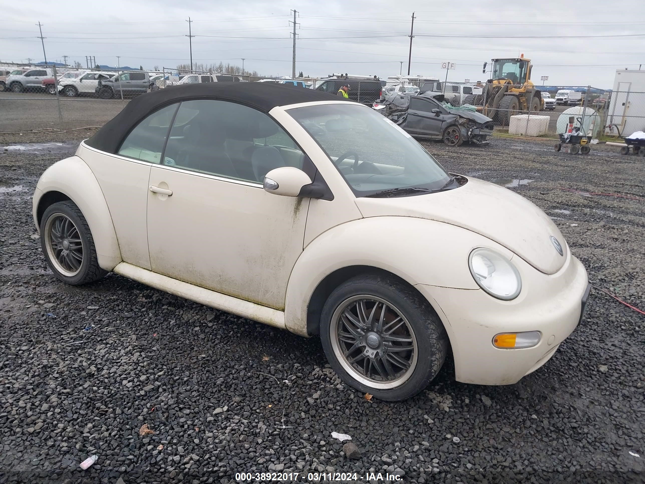 VOLKSWAGEN BEETLE 2005 3vwbm31y05m365461