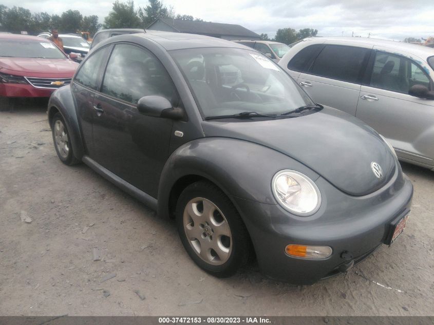 VOLKSWAGEN BEETLE 2002 3vwcb21c42m424161