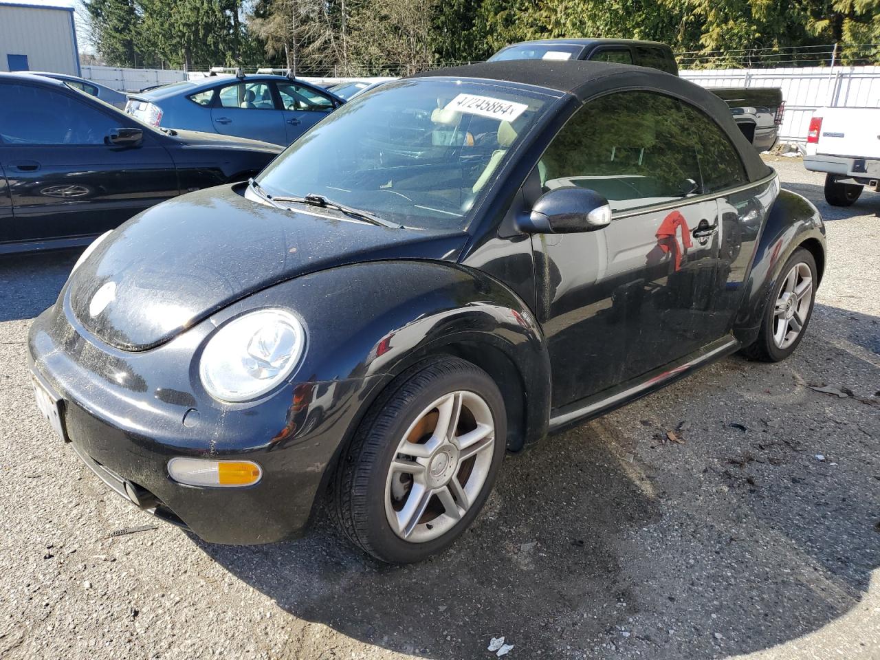 VOLKSWAGEN BEETLE 2005 3vwcd31y15m300591