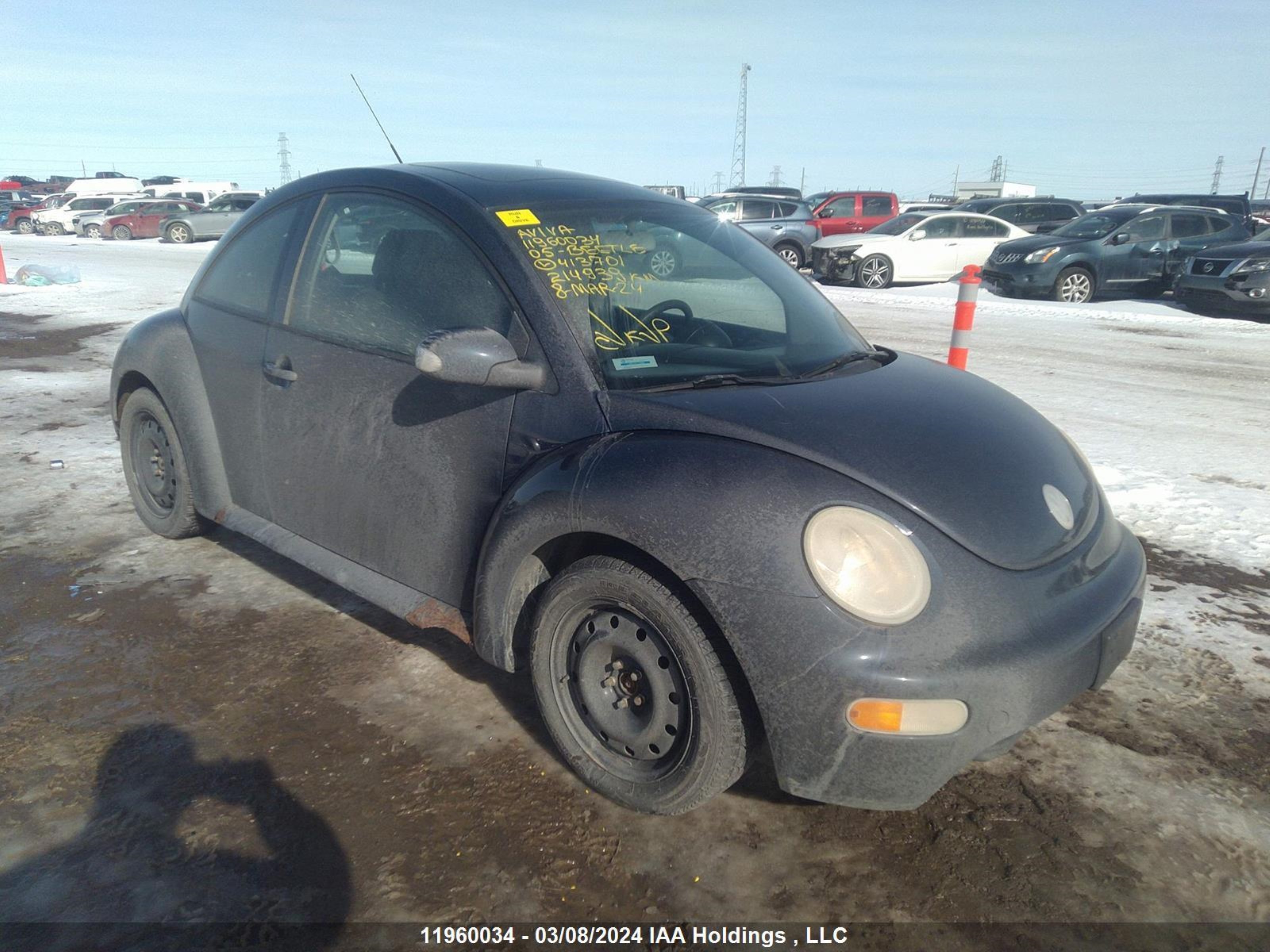 VOLKSWAGEN BEETLE 2005 3vwck21c45m413701