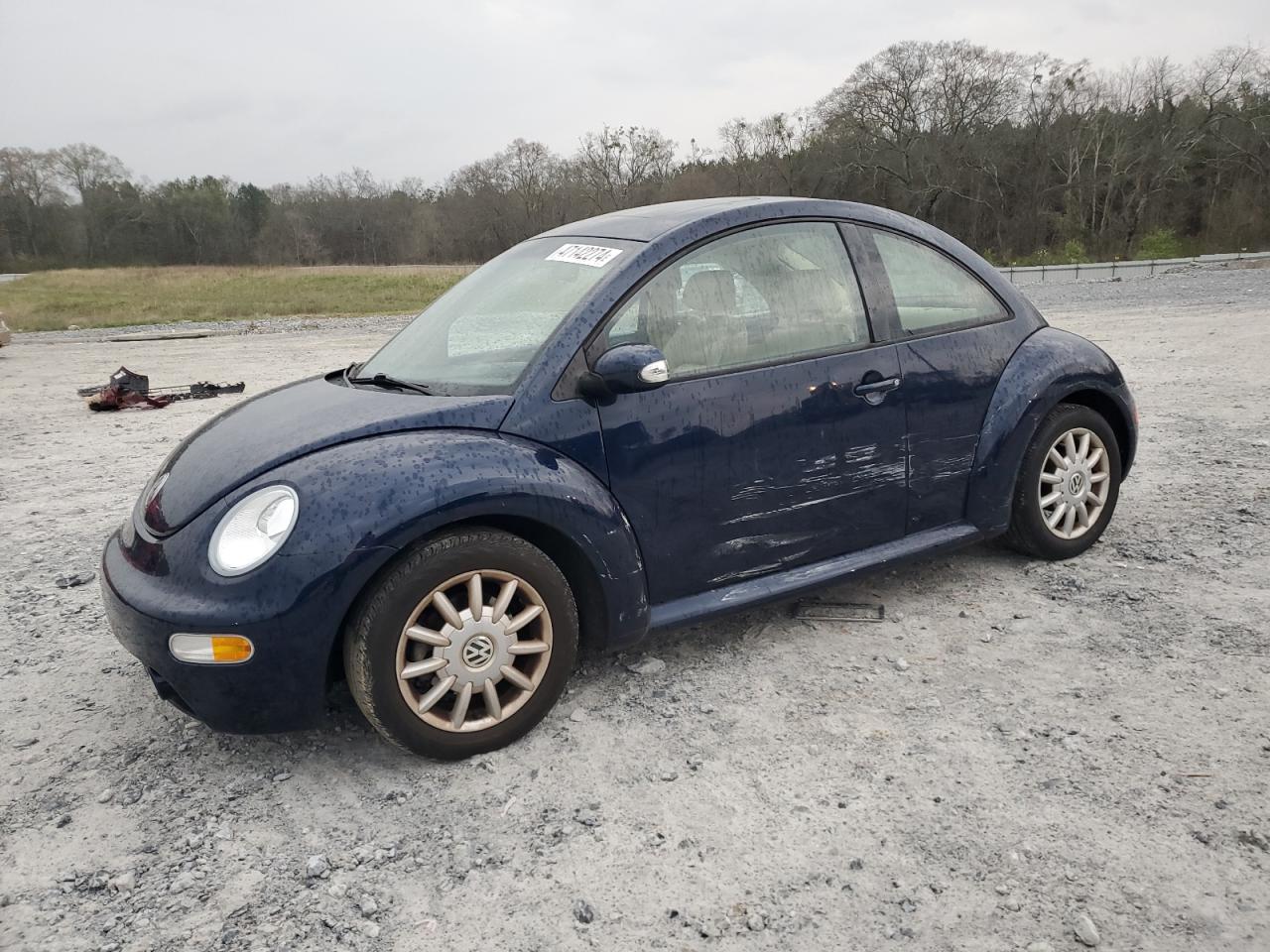 VOLKSWAGEN BEETLE 2004 3vwck31c34m422586