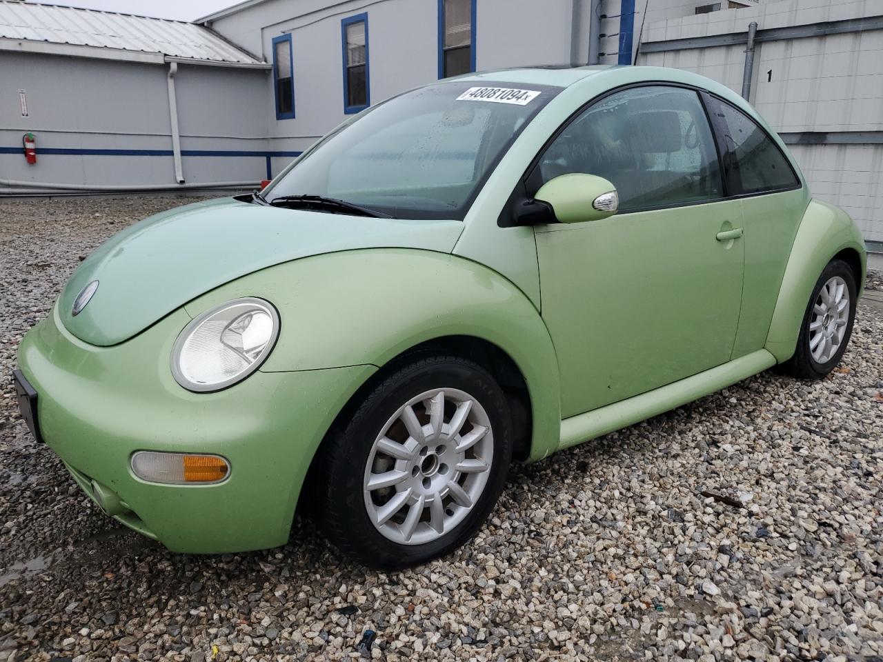 VOLKSWAGEN BEETLE 2005 3vwck31c65m416671