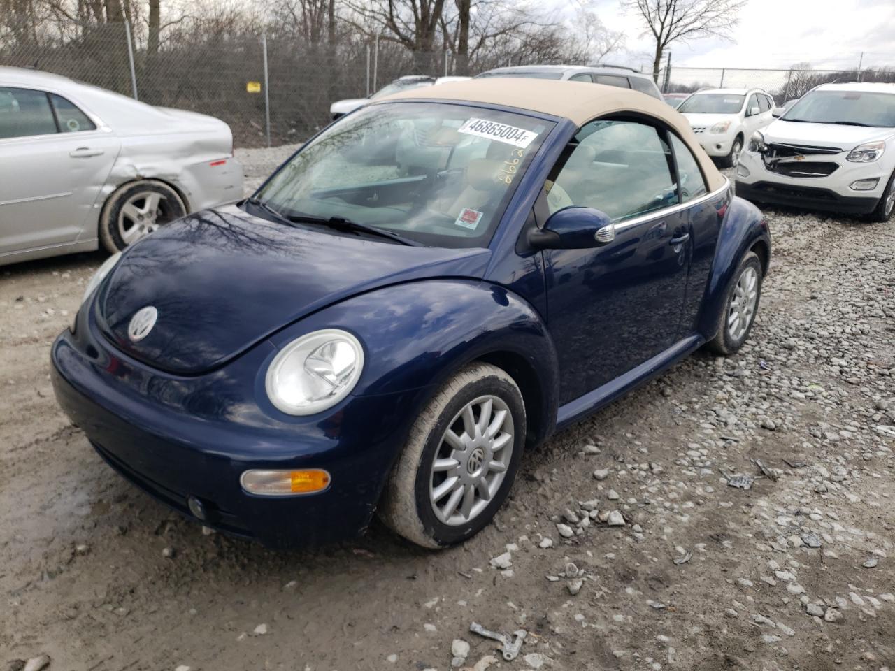 VOLKSWAGEN BEETLE 2005 3vwcm31y35m355589