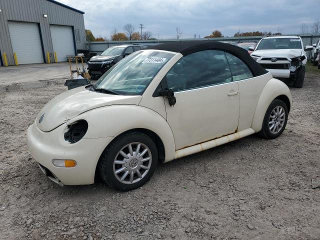 VOLKSWAGEN NEW BEETLE 2005 3vwcm31y55m316678