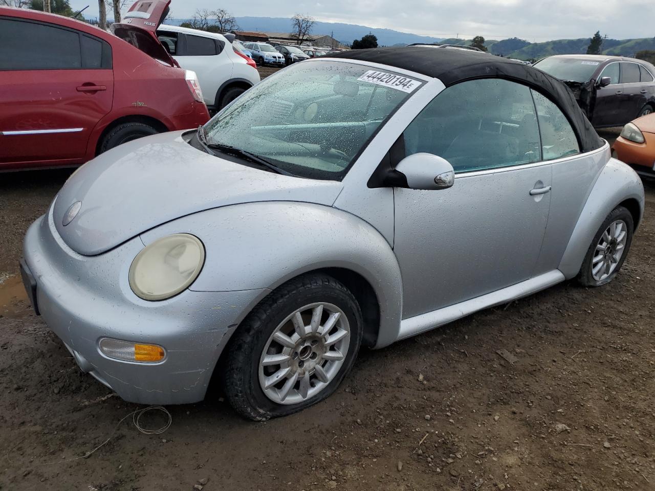 VOLKSWAGEN BEETLE 2004 3vwcm31y64m338168