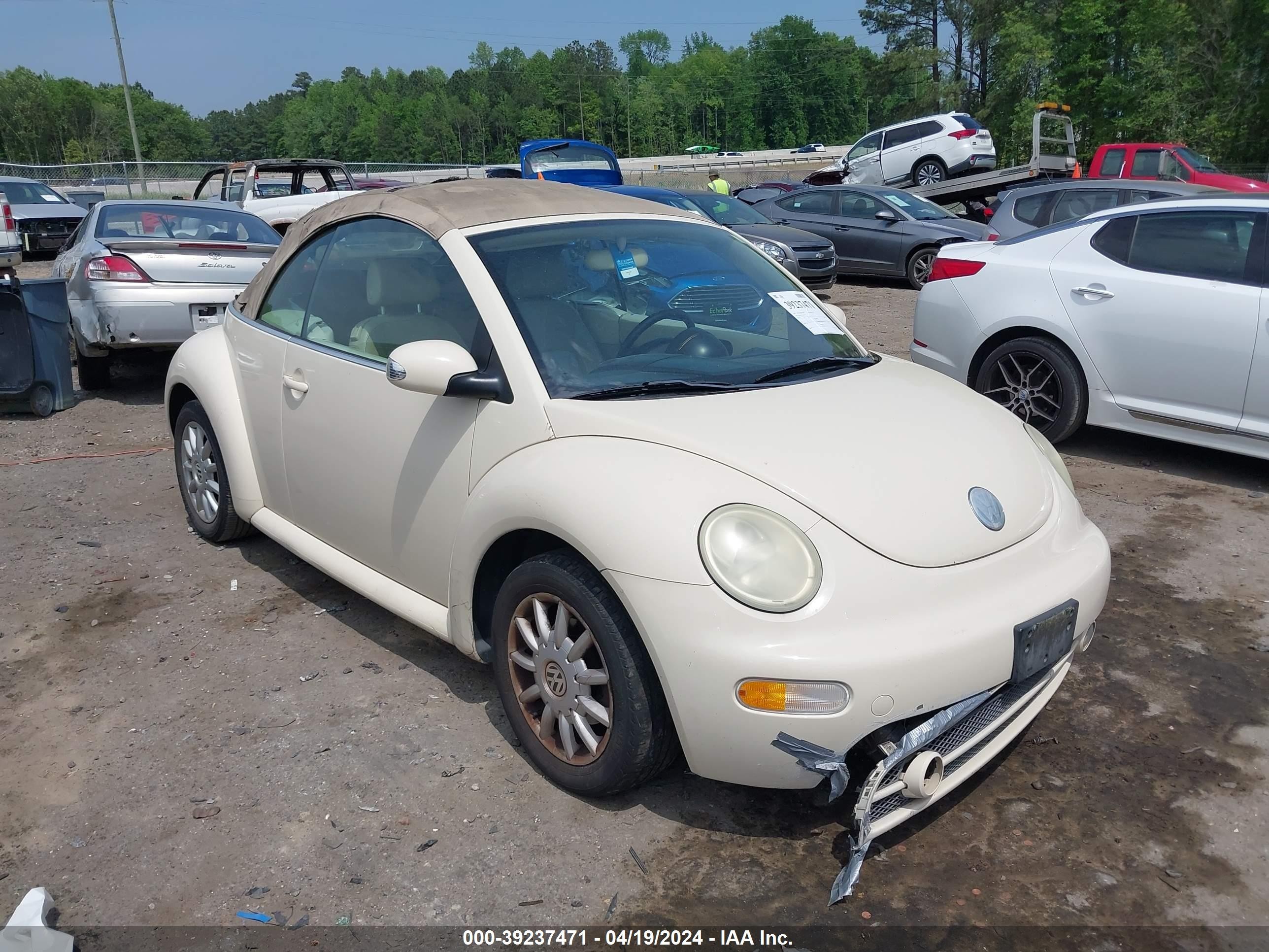 VOLKSWAGEN BEETLE 2005 3vwcm31y75m361721