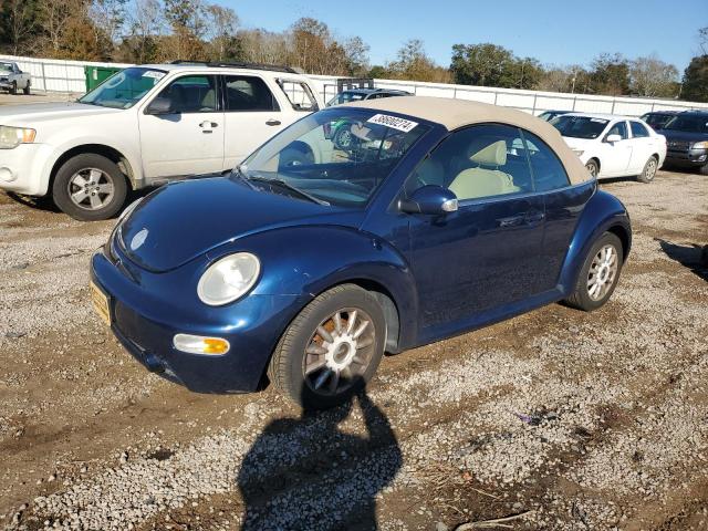 VOLKSWAGEN BEETLE 2004 3vwcm31y94m333398