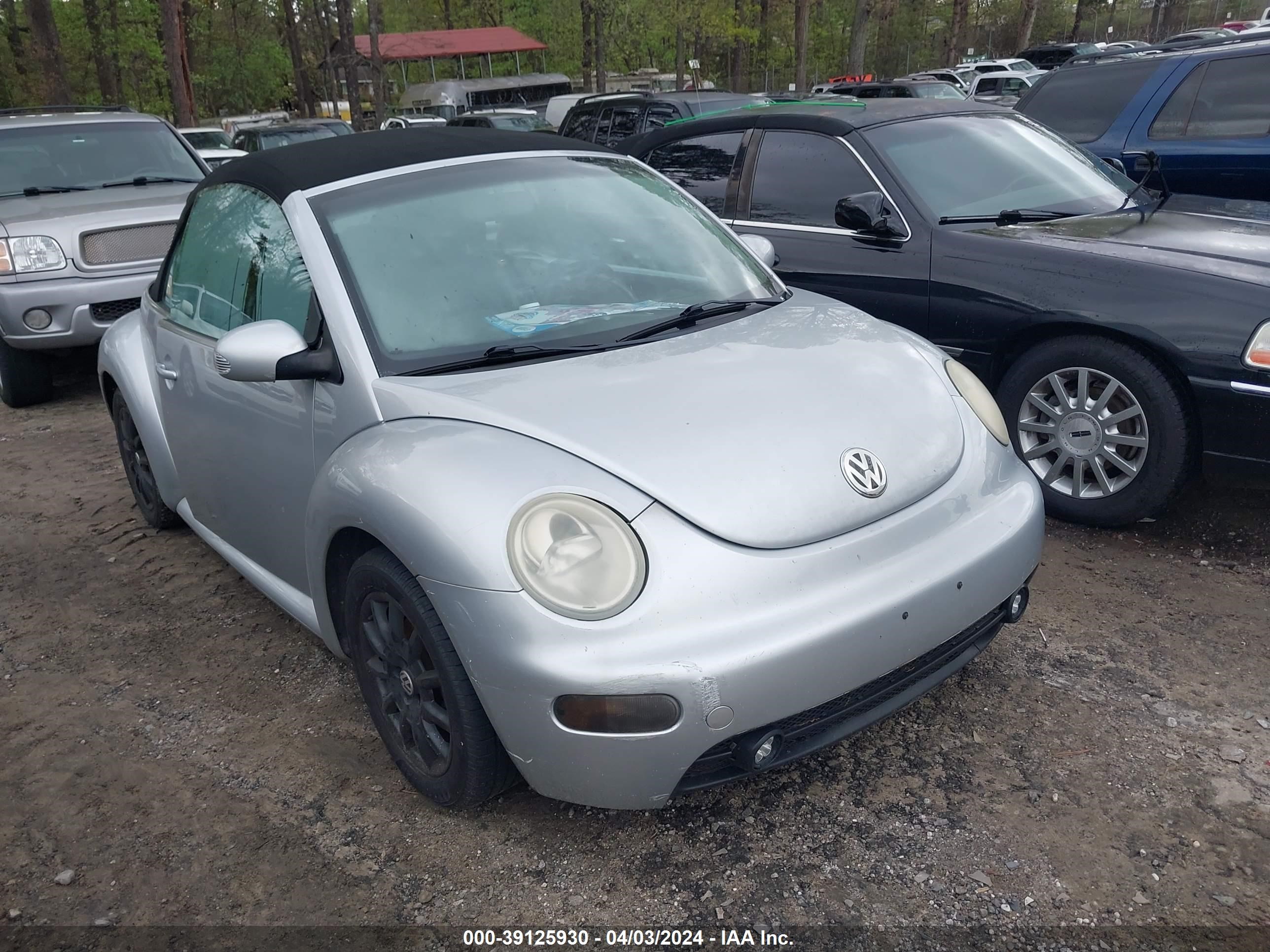 VOLKSWAGEN BEETLE 2004 3vwcm31yx4m342708