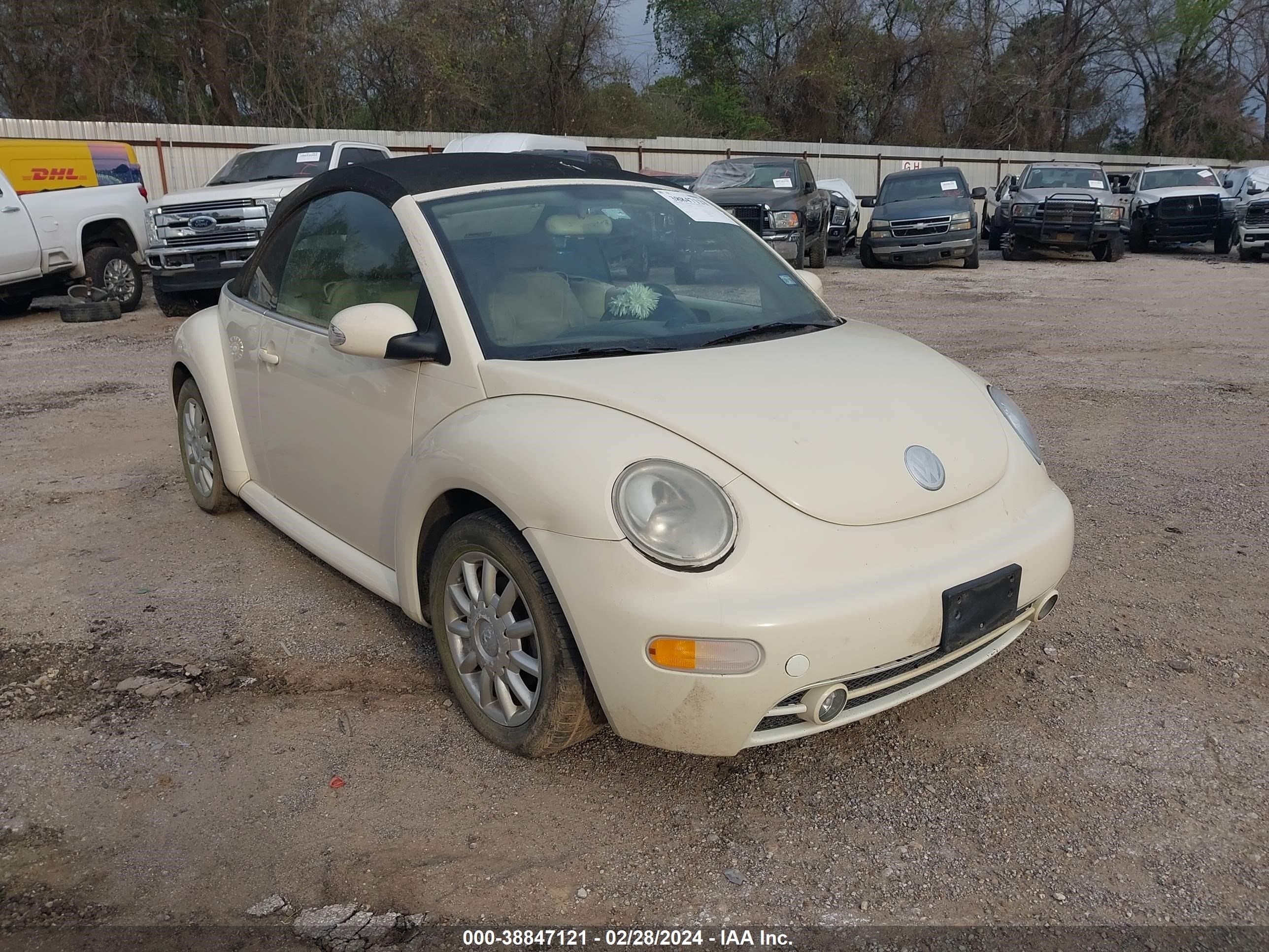 VOLKSWAGEN BEETLE 2005 3vwcm31yx5m367545