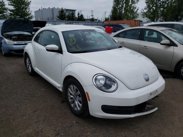 VOLKSWAGEN BEETLE 2013 3vwjl7at9dm627714