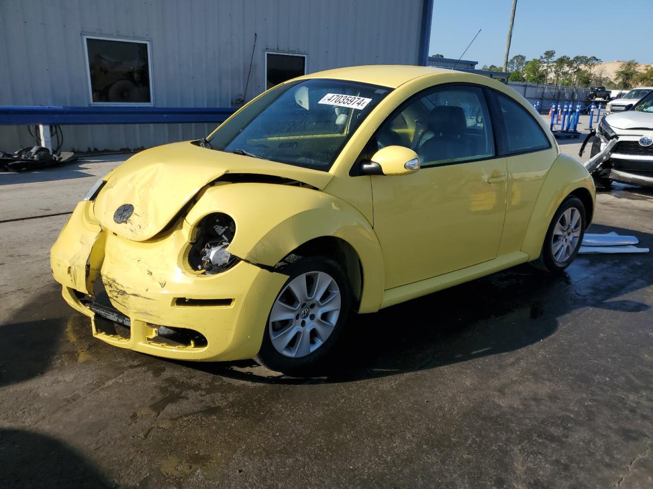 VOLKSWAGEN BEETLE 2009 3vwpg31c89m512701