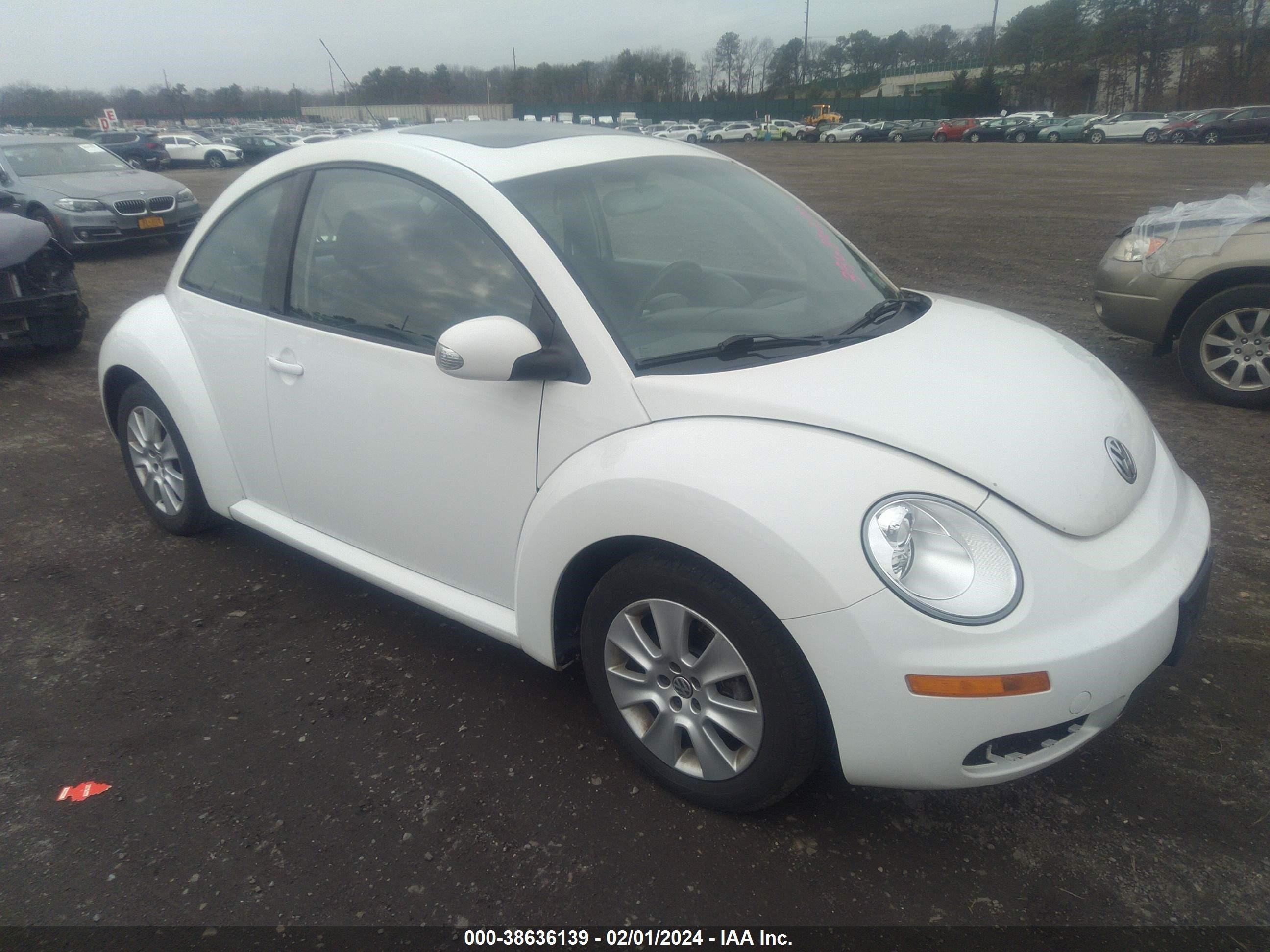 VOLKSWAGEN BEETLE 2009 3vwrg31c89m516305