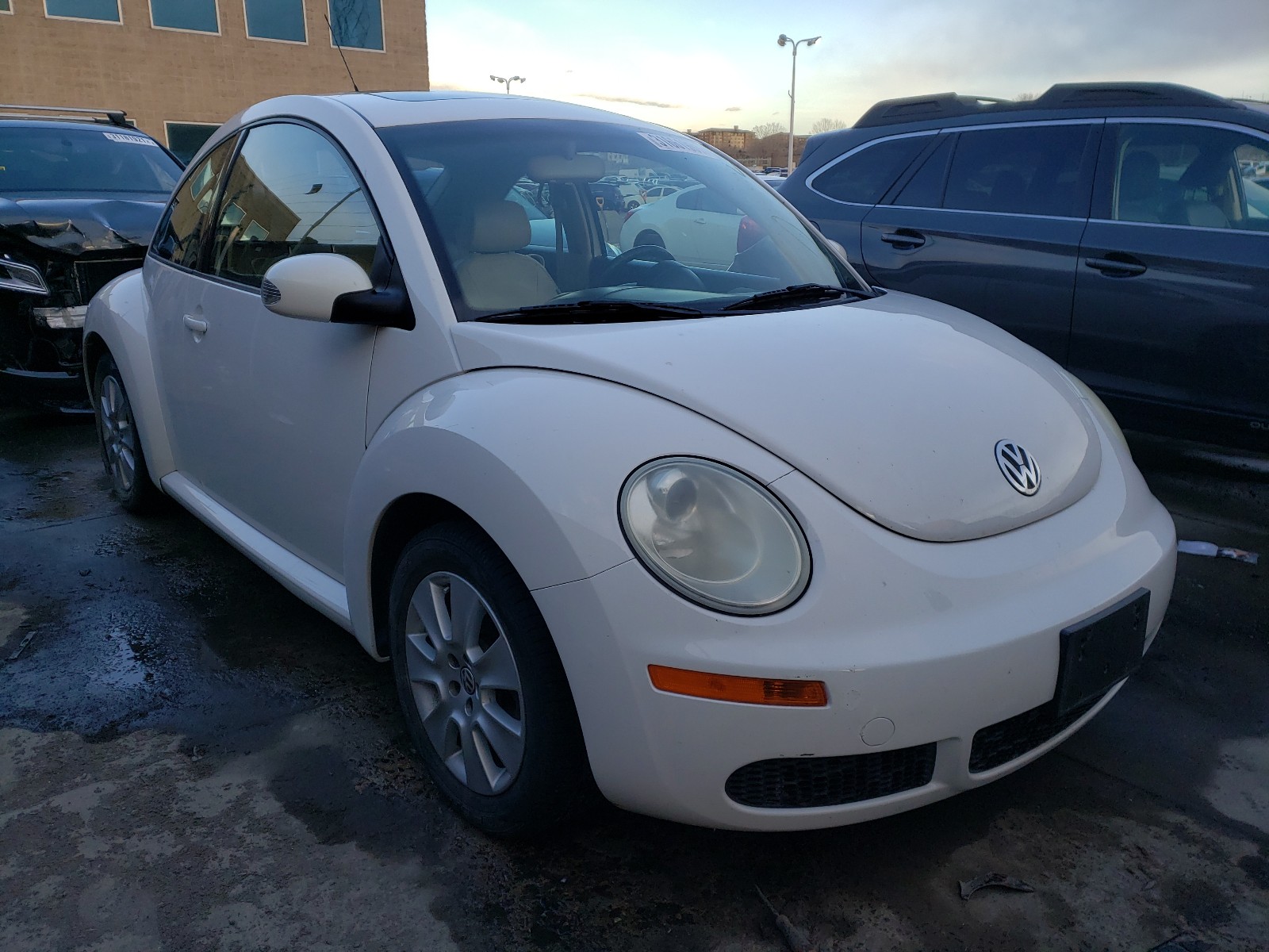 VOLKSWAGEN NEW BEETLE 2009 3vwrw31c39m505747