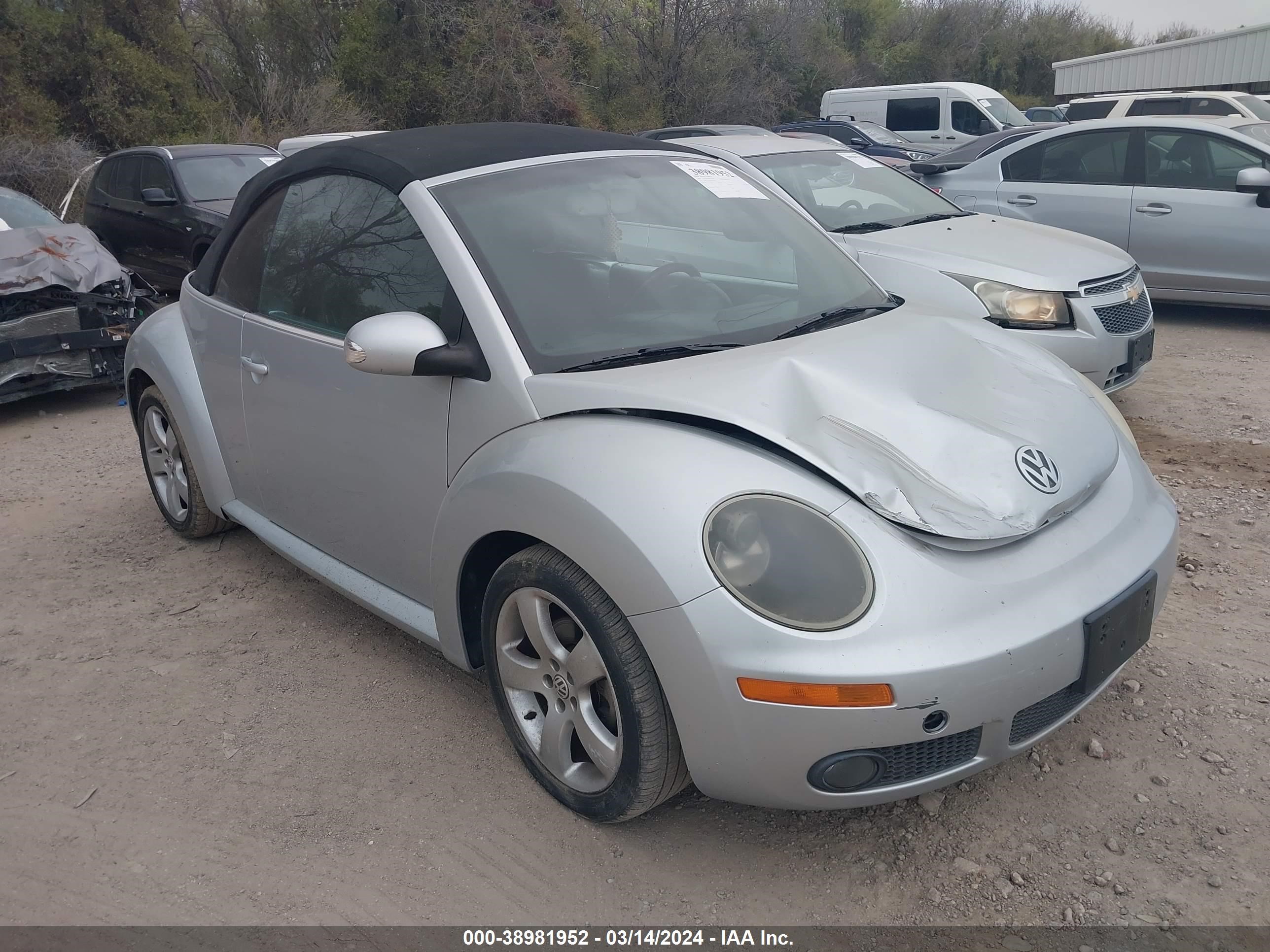 VOLKSWAGEN BEETLE 2006 3vwsf31y86m329996