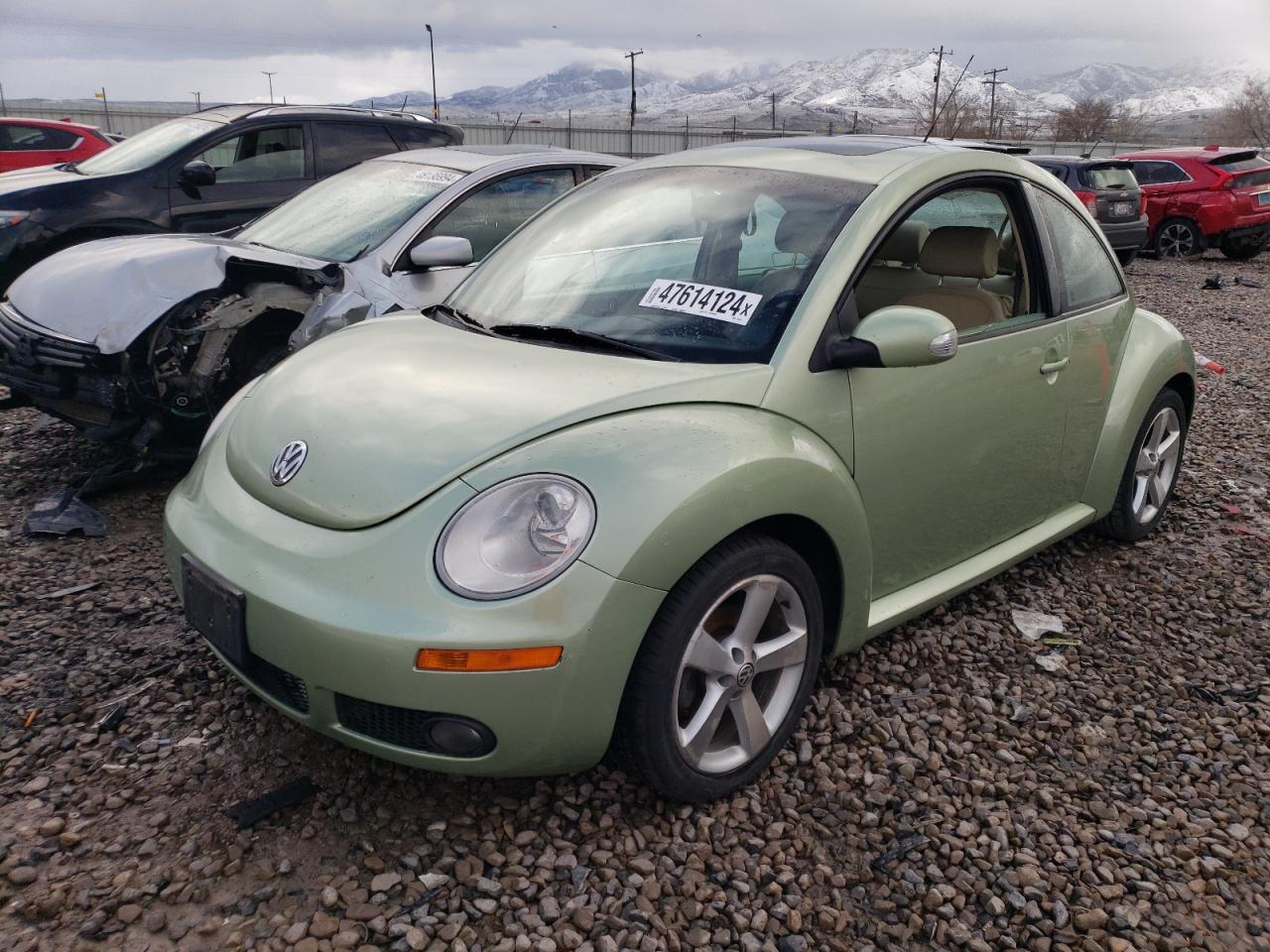 VOLKSWAGEN BEETLE 2006 3vwsr31cx6m411370