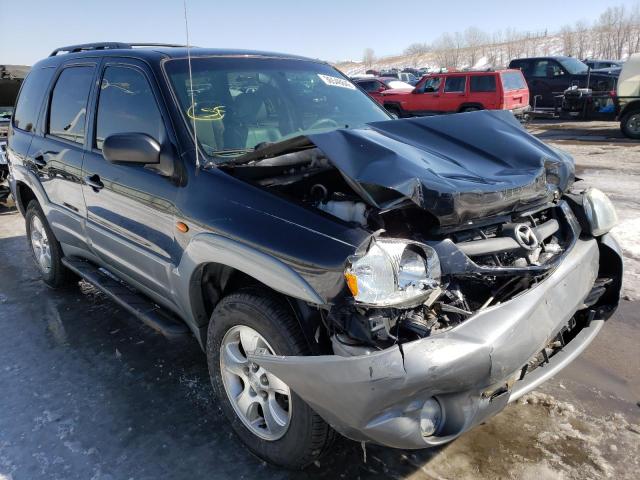 MAZDA TRIBUTE LX 2002 4f2cu08162km17337