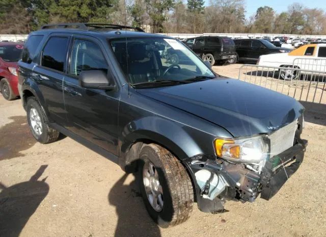 MAZDA TRIBUTE 2010 4f2cy0gg0akm07380