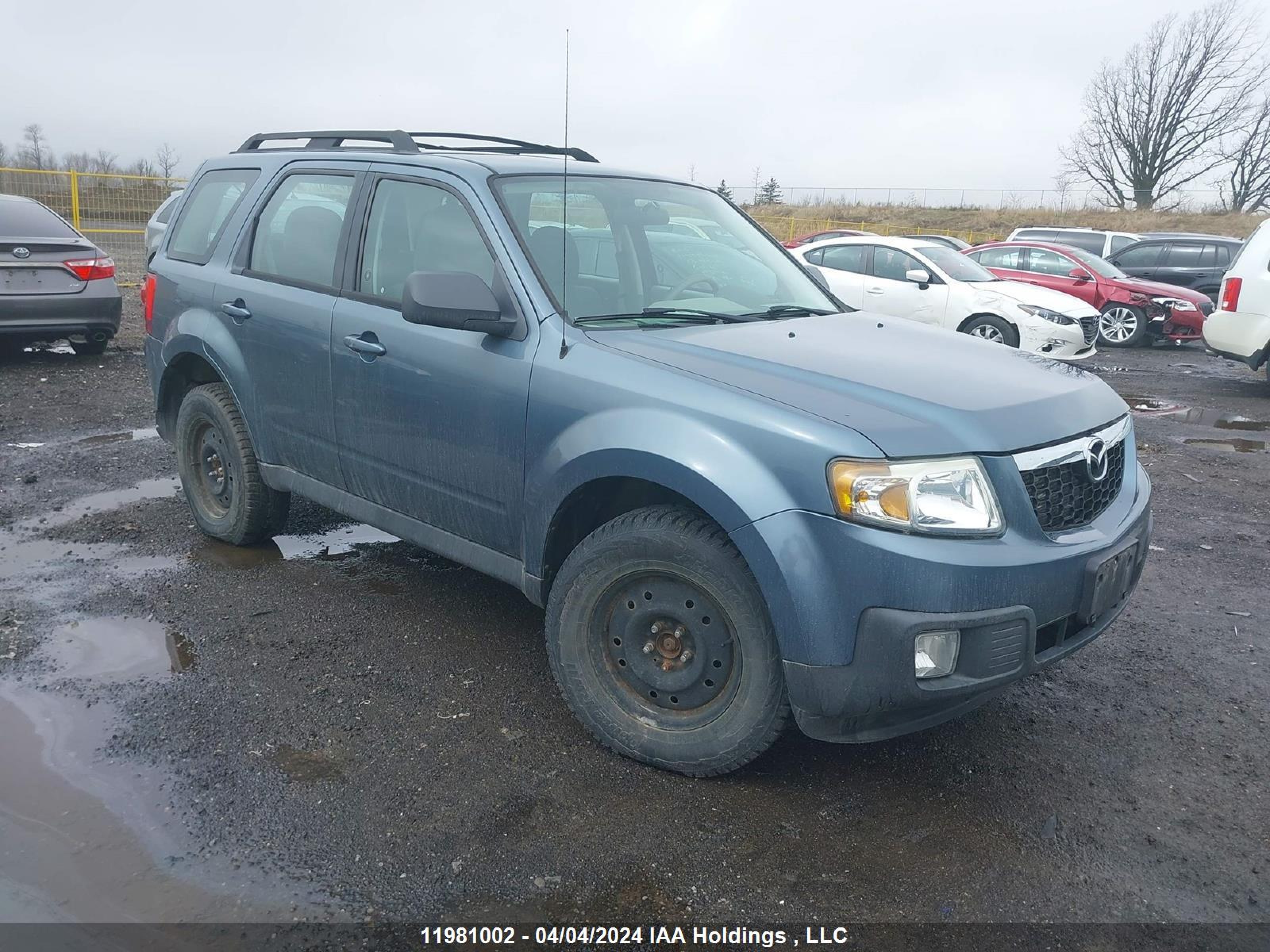 MAZDA TRIBUTE 2010 4f2cy0gg3akm04554