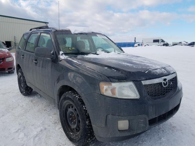 MAZDA TRIBUTE S 2010 4f2cy9gg4akm05216