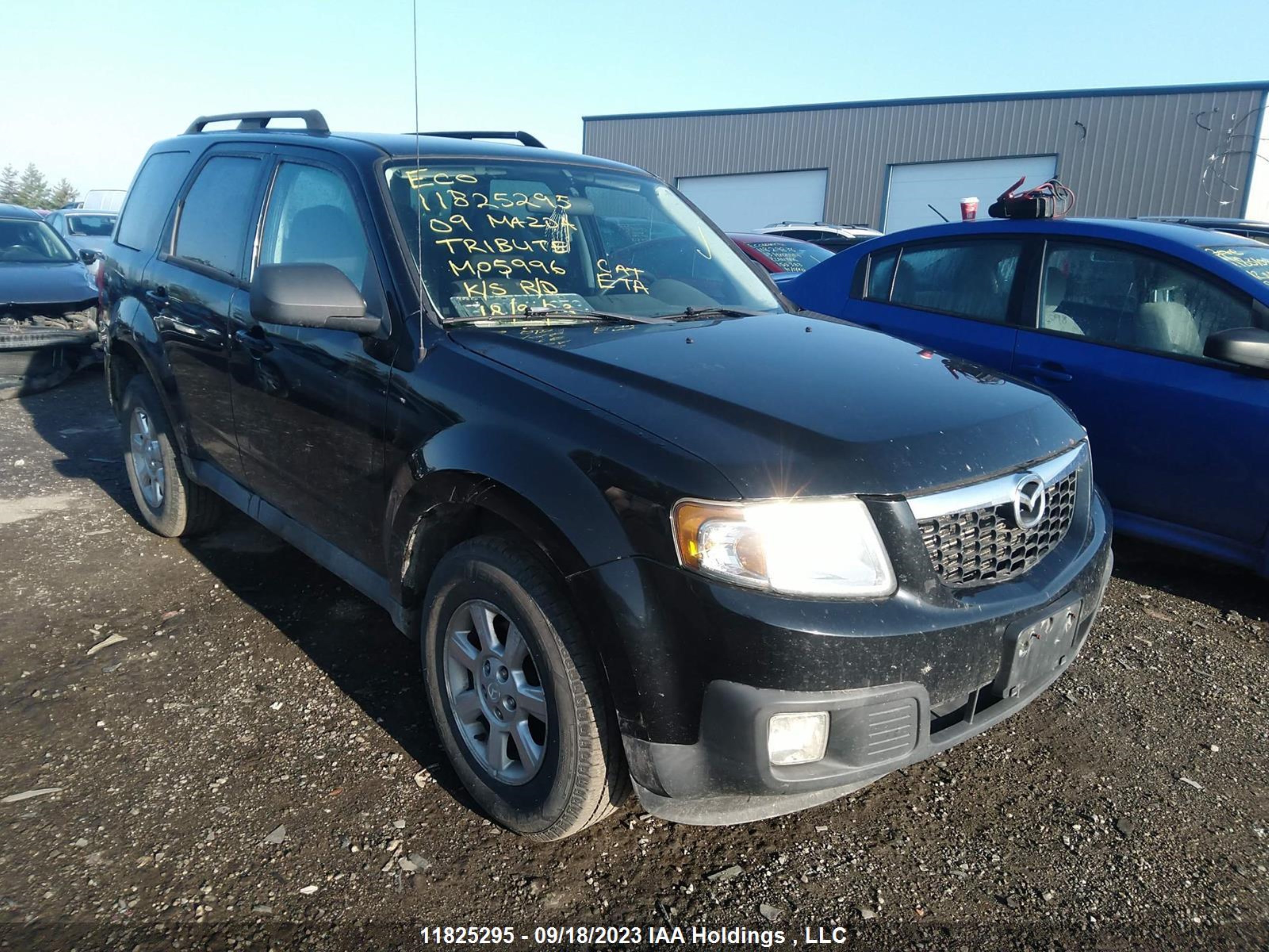 MAZDA TRIBUTE 2009 4f2cz02779km05996