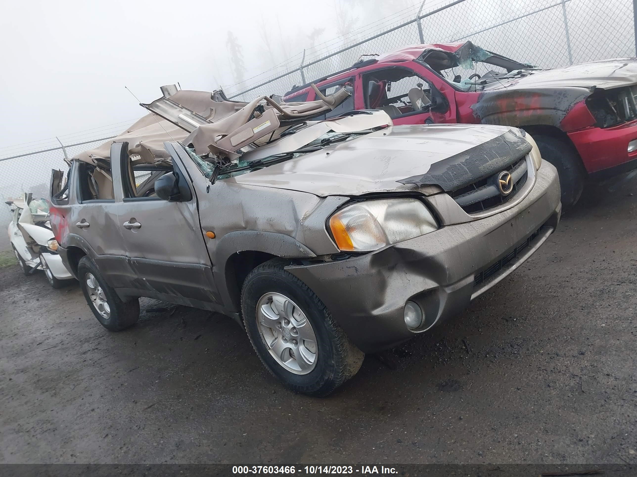 MAZDA TRIBUTE 2001 4f2yu08191km53382