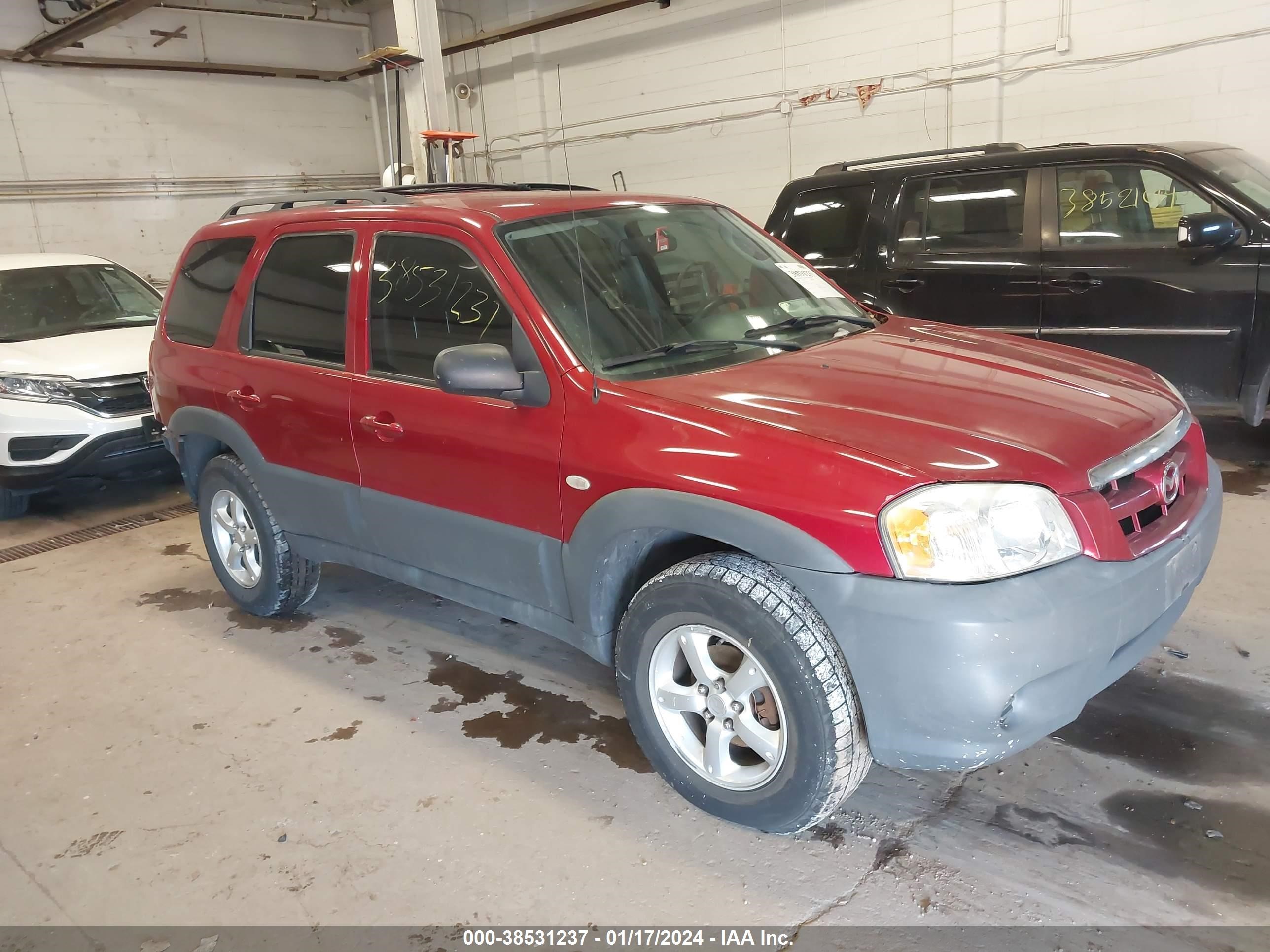 MAZDA TRIBUTE 2006 4f2yz02z16km34901