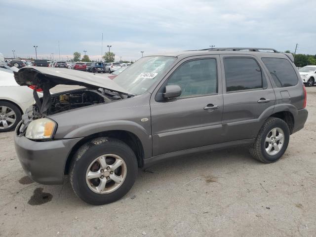 MAZDA TRIBUTE 2006 4f2yz02z86km08716