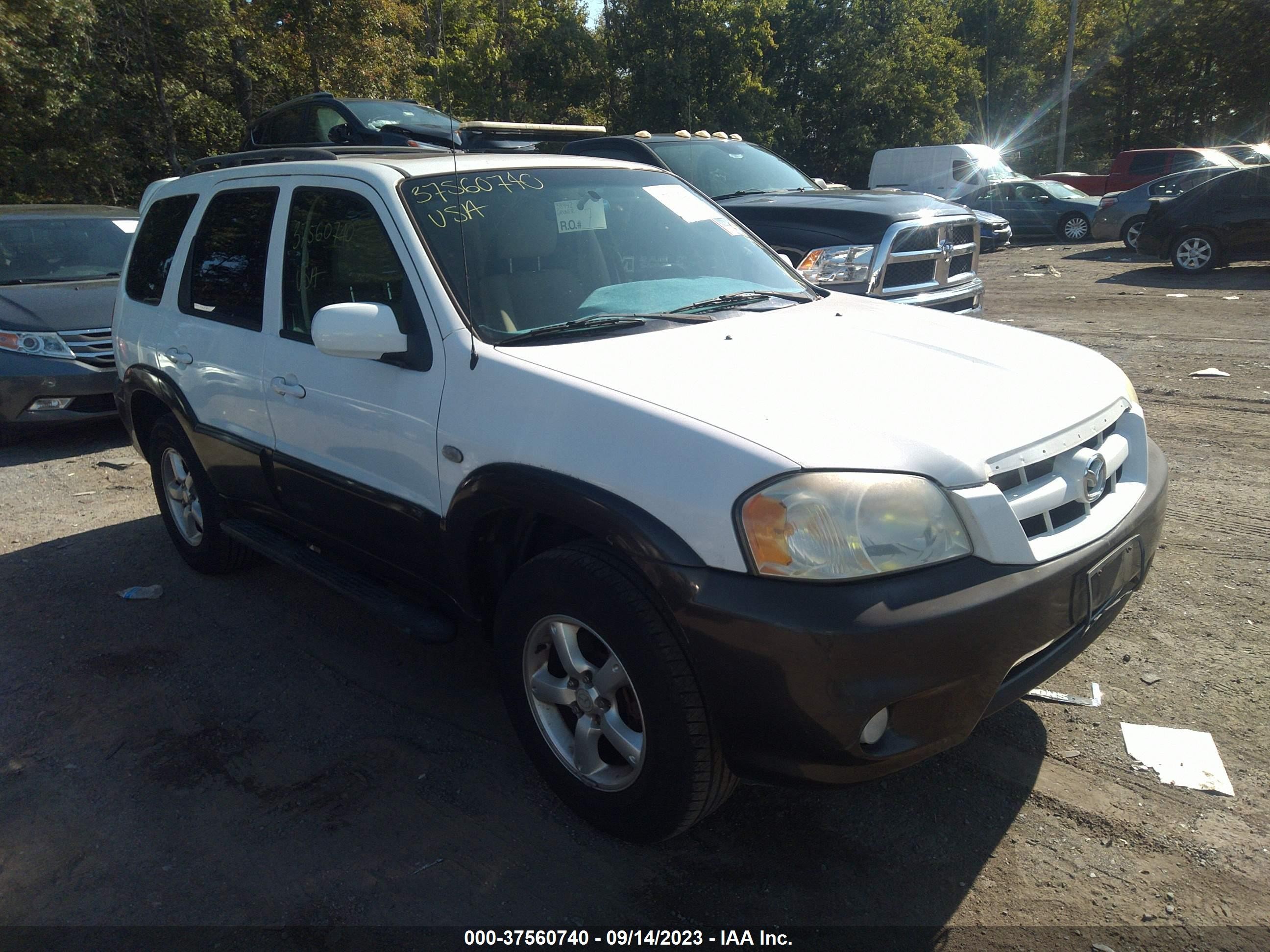 MAZDA TRIBUTE 2006 4f2yz04196km29596