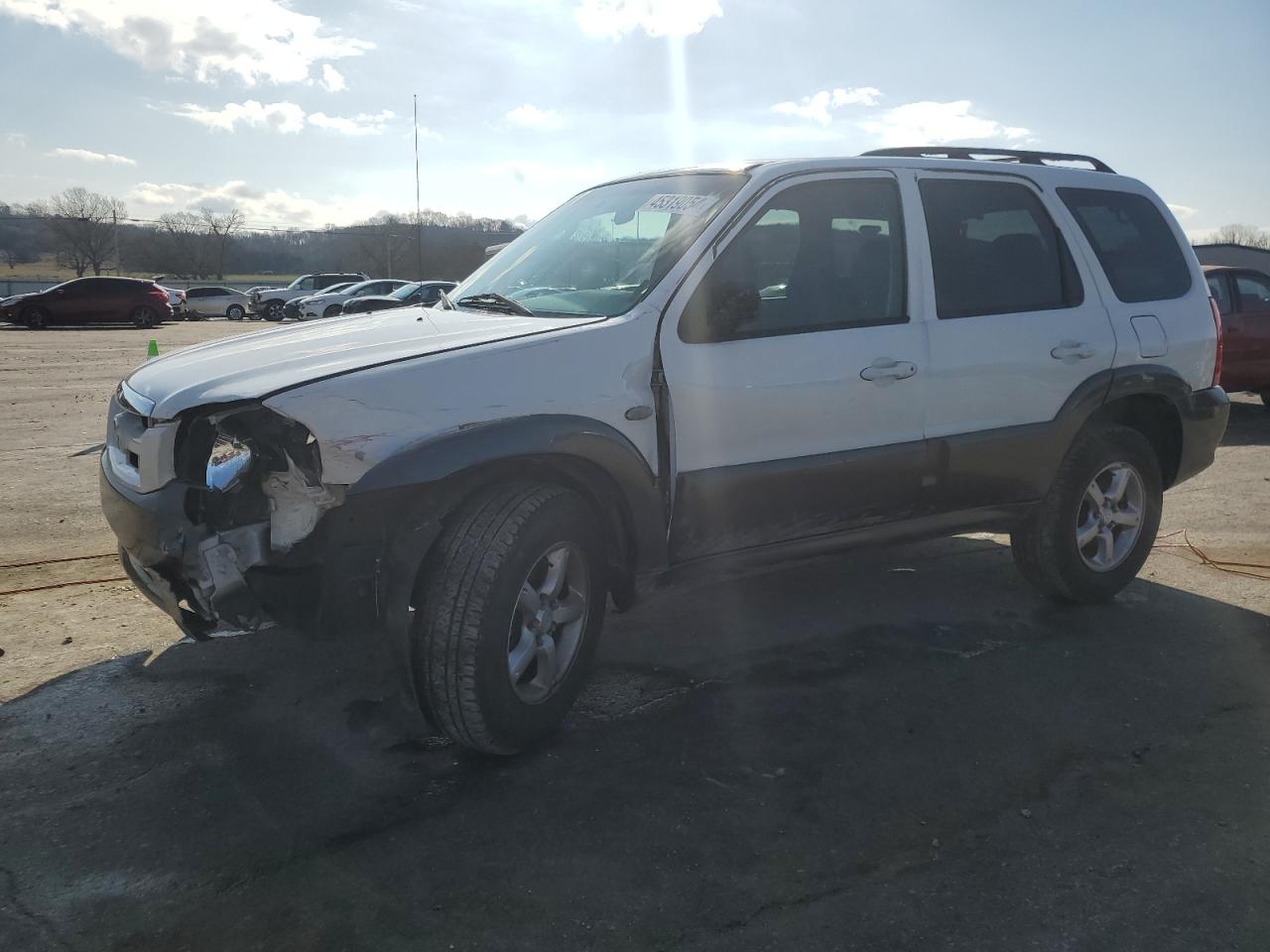 MAZDA TRIBUTE 2006 4f2yz041x6km03346