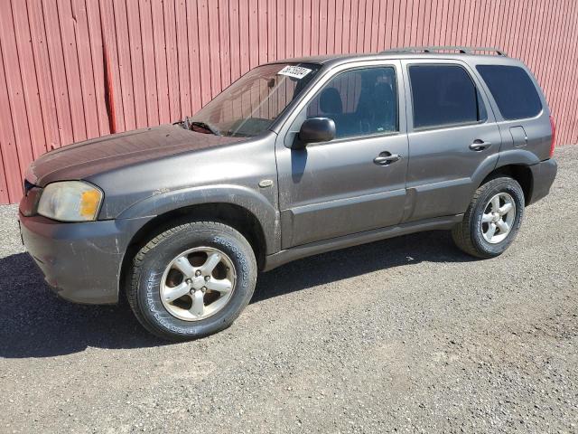 MAZDA TRIBUTE 2006 4f2yz92z96km35265