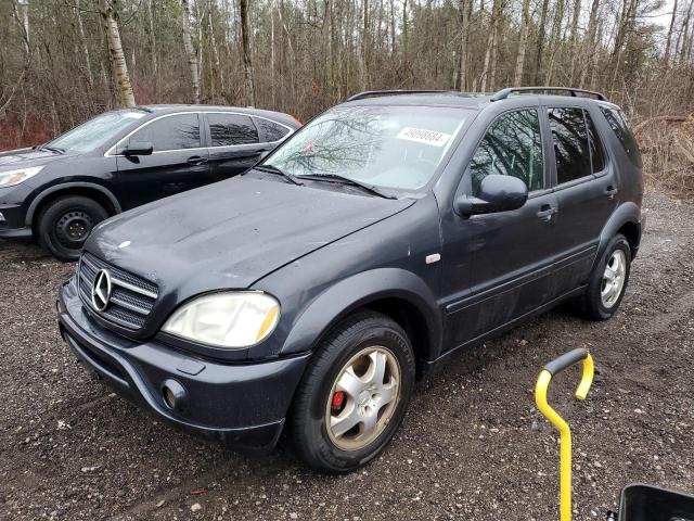 MERCEDES-BENZ M-CLASS 2000 4jgab74e2ya176790