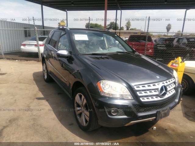 MERCEDES-BENZ M-CLASS 2010 4jgbb8gb4aa603856