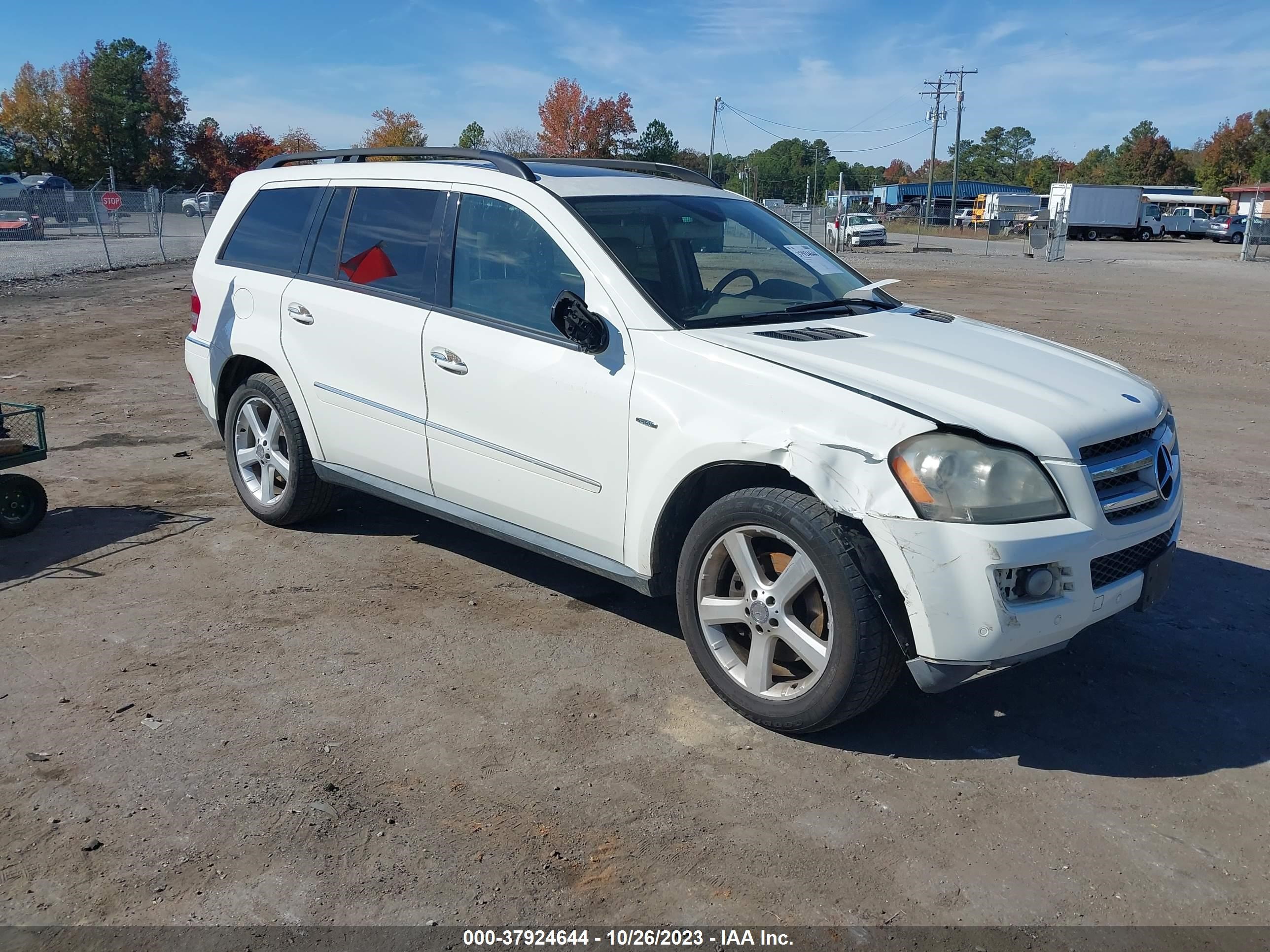 MERCEDES-BENZ GL-KLASSE 2009 4jgbf25ex9a476119