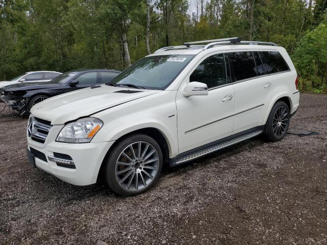 MERCEDES-BENZ GL 350 BLU 2012 4jgbf2fe7ca769451