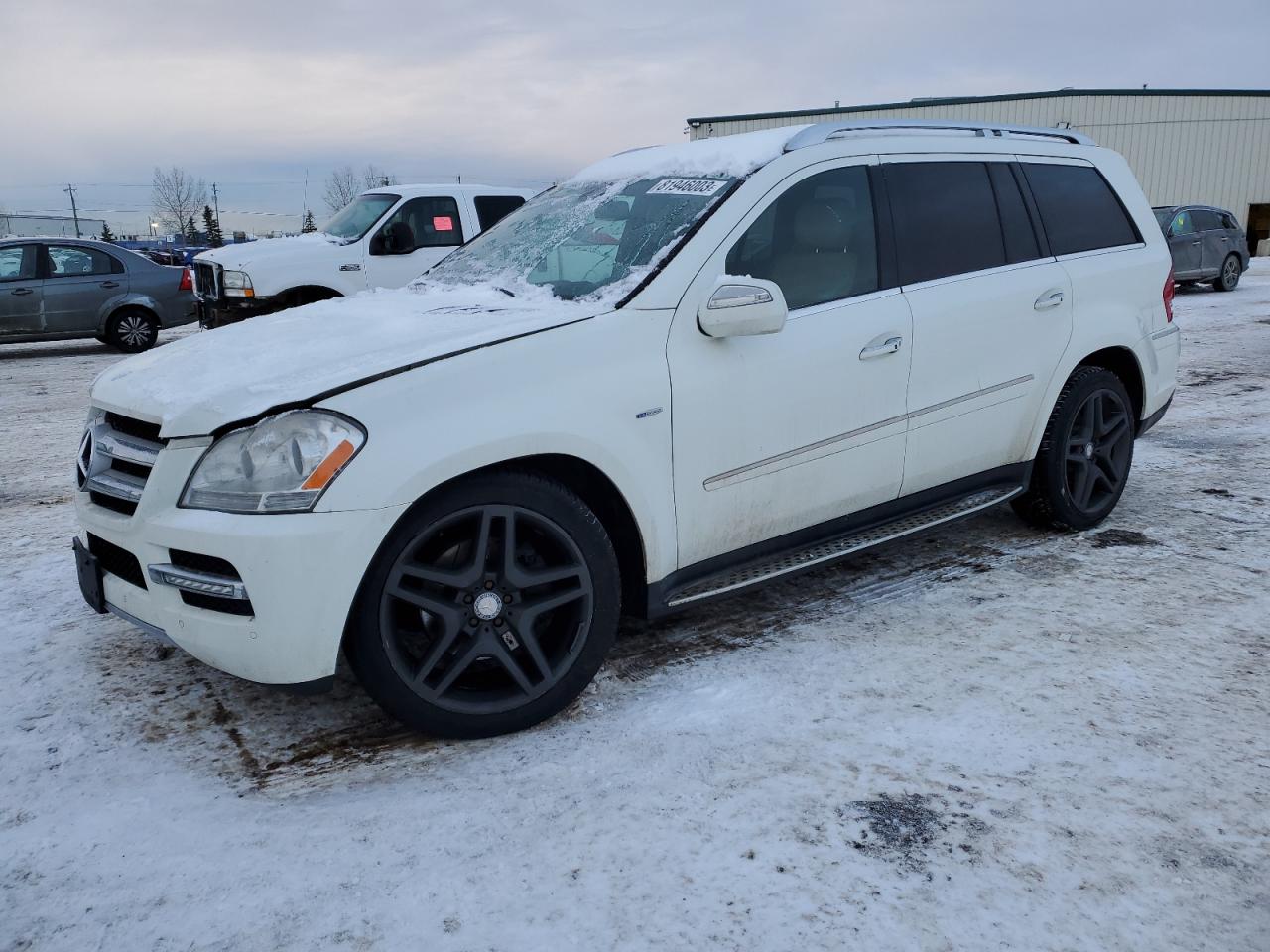 MERCEDES-BENZ GL-KLASSE 2010 4jgbf2fe8aa601489