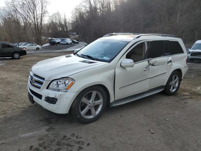 MERCEDES-BENZ GL-CLASS 2009 4jgbf71e49a465183